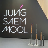 정샘물 아티스트 브로우 쉐이더 슬림 (펜슬 0.05g 크림 0.18g)