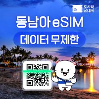 동남아 eSIM 데이터 무제한 와이파이 유심 이심 도시락eSIM