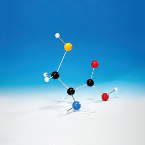 대형 분자구조 설명 세트