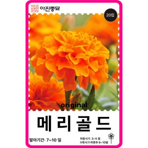메리골드 씨앗 20립 / 꽃씨 몰 고급 종자 정원 식용꽃 봄 꽃차