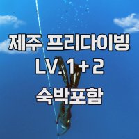 제주 서귀포 프리다이빙 레벨1+2 교육 자격증 강습