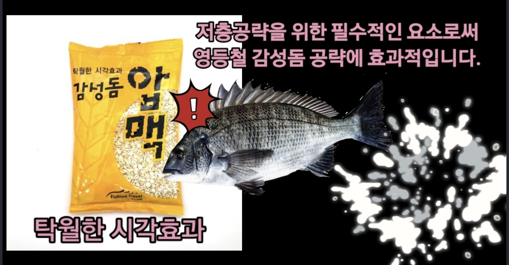감성돔 압맥 보리 감성돔 보리