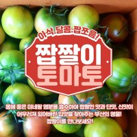 부산 대저동 짭짤이 대저 토마토 제철 새콤달콤 2.5kg 미네랄 시아버지 장모님 선물