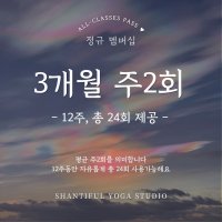 정규 Membership 3개월 평균 주2회 (12주 제공 / 총 24회)