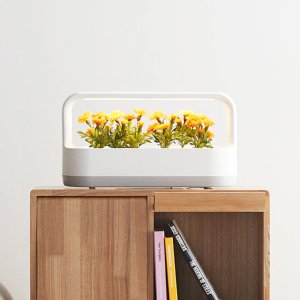 LG 틔운 미니 가정용 식물재배기 3 Colors (화이트/핑크/베이지)