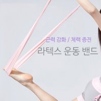 전신로잉밴드 맨몸운동기구 스포밴드 여자홈트레이닝기구