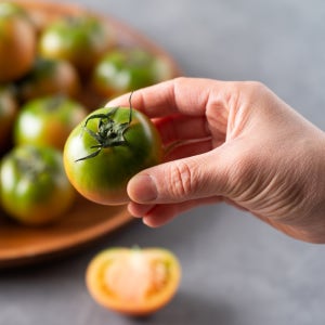 부산 대저 짭짤이 토마토 섞어 팔지 않고 정직하게 판매하는 산지직송 제철 과일