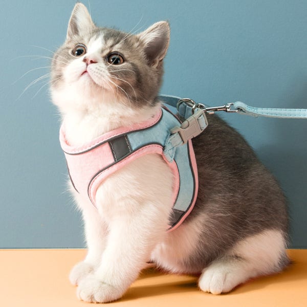 퍼플펫 고양이 하네스 가슴줄 목줄 고양이전용 산책줄 블루핑크 S