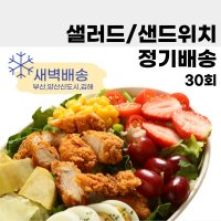 부산 양산 새벽 샐러드새벽정기배송 샐러드 30회