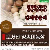 충남 보령 오서산 양송이 버섯 갈색 캠핑용(꼬마)1kg, 2kg, 못난이 (파지)1kg , 2kg,