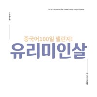 [중국어 스터디]유리미인살 챌린지 100 (중국드라마 대본 온라인 학습지) 3개월 전과정