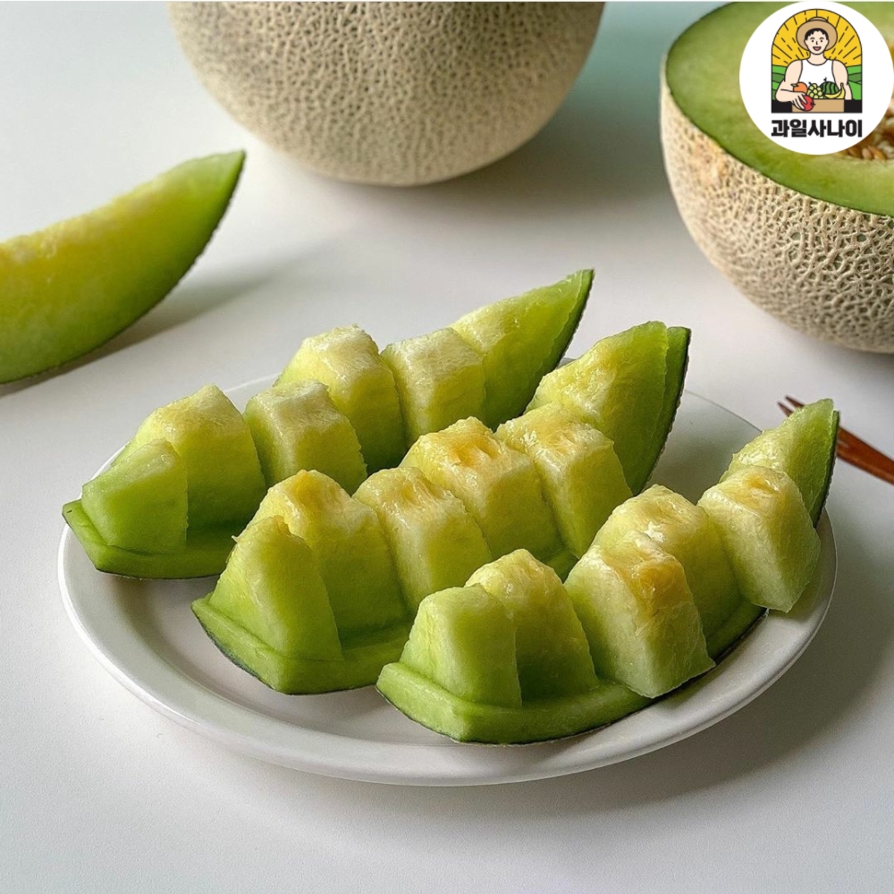 고당도 머스크 메론 세지메론 곡성 멜론 선물세트
