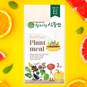 잘자람 식물밥 2kg 복합비료 8개월 지속 친환경 완효성 식물 화분 영양제 창빛농원