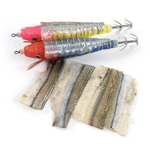 제주 갑오징어 학꽁치포 생미끼 채비 삼봉에기 미끼