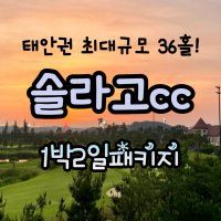 태안 솔라고cc 1박2일골프(04월)