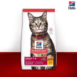 힐스 캣 어덜트 고양이 사료 2kg