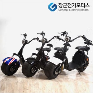 EBX7 전동스쿠터 왕발통 60V13ah 20ah 선택가능 정격출력500W
