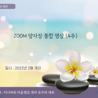 ZOOM 양자장 통합 명상 (4주)