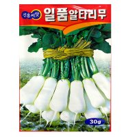 일품알타리무 씨앗 종자 알타리씨 30g