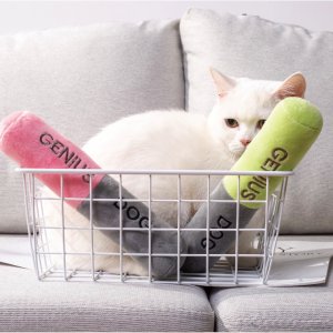 지니어스독 고양이 삑삑이 놀이 장난감