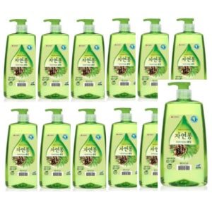 LG생활건강 자연퐁 솔잎 980mL 1박스(12개입)