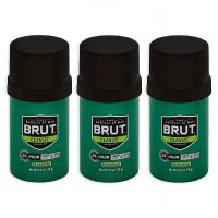 Brut 브룻 미국 클래식 데오드란트 스틱 70g 3팩