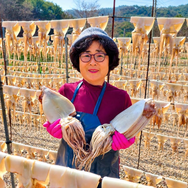 오징어엄마 반건조오징어 마른 피데기 반건오징어 중 10미 파품 파지