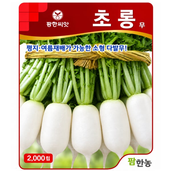 초롱무씨앗 종자 2000립 동치미무 총각무씨 김장