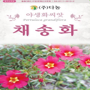 채송화 채송화꽃 씨 씨앗 종자 1g