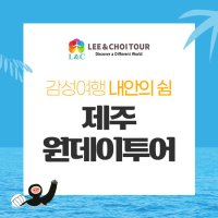 [즉시확정] 바닷가 호텔 , 오션뷰 1박, 2인 1실 , 조식 포함 + 내안의 쉼 제주도 원데이 투어 포함 (중식 제주한정식 /관광지 입장료 포함)