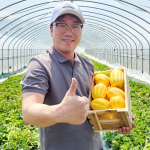 참외 성주참외 못난이참외 가정용 꼬마