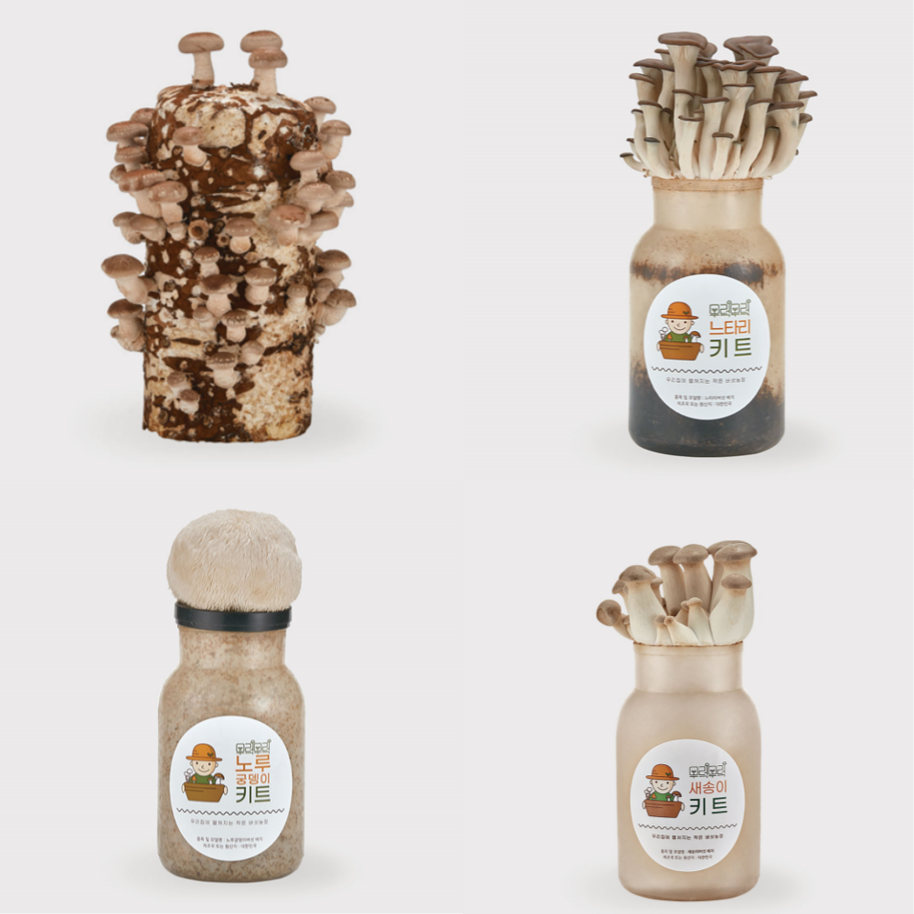 무럭무럭 <b>버섯</b>키우기 키트 표고 느타리 <b>노루궁뎅이</b> 새송이 재배 배지 세트