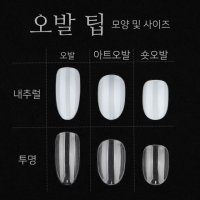 오벌 숏 네일팁 리필팁 클리어/네츄럴 50개입