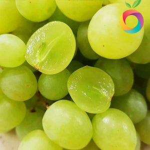 포도 씨없는 애플 청포도 1kg+1kg 수입포도 스윗글로브 오톰크리스프