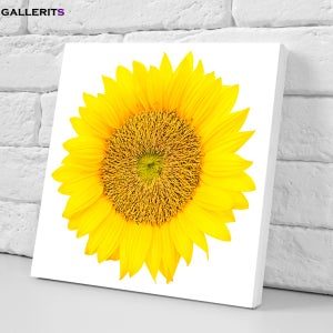 해바라기 모란꽃 그림 풍수 인테리어 거실 액자 두꺼비집가리개 열정해바라기소형