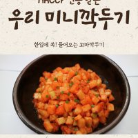 HACCP 인증받은 우리 미니깍두기 꼬마깍두기 10kg/5kg