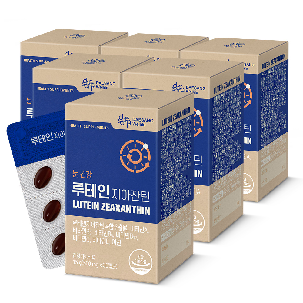 웰라이프 루테인 지아잔틴 (500mg) 눈영양보충용제품 30캡슐, 6개