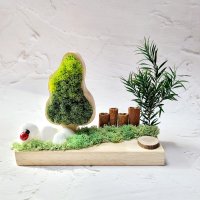 DIY 키트 스칸디아모스 모스틀 만들기 습기제거 공기정화식물 천연이끼 단체 원예 수업