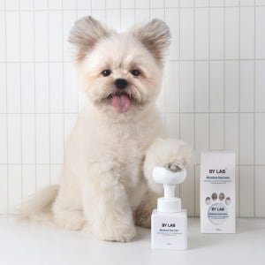 바이랩 수분풋케어 강아지 발바닥 세정제 산책 비누 발사탕 발 습진 샴푸 본품, 240g, 1개