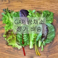 [정기구독] GAP 모듬 쌈채소 샐러드채소 600g 1kg 쌈야채