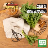 [장터임당] 친환경 무농약 와일드 루꼴라 샐러드 250g / 500g