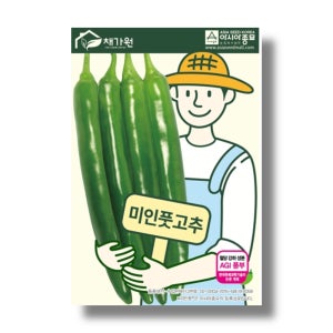 미인풋고추 1000립 혈당고추