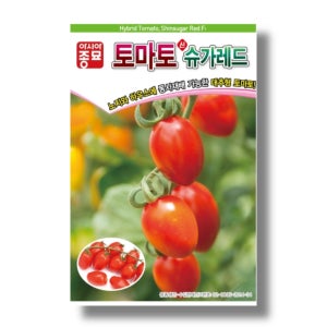 대추방울토마토씨앗종자 신슈가레드 1000립