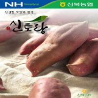 [신북농협] 23년 신토랑 영암 황토 꿀 밤고구마 5kg / 10kg