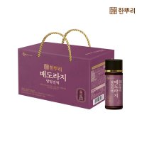 한뿌리 배도라지 달임진액 병 100ml 10입 1박스