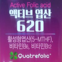 엽산 비타민B 액티브 엽산620 500mg x 60정 비타민하우스