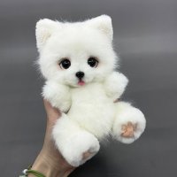 [DIY] 흰강아지 핸드메이드 봉제 솜인형 만들기 키트(제작가이드 및 번역 도안 제공)