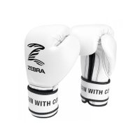 지브라 복싱 글러브 - ZEBRA PRO Signature Hook & Loop Training Gloves white /권투글러브 킥복싱 무에타이 종합격투기