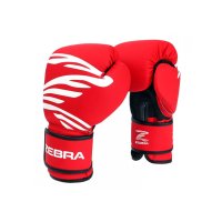 지브라 복싱 글러브 - ZEBRA FITNESS Training Gloves red /권투글러브 킥복싱 무에타이 MMA 종합격투기