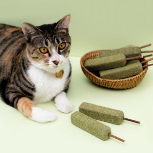 쥬아펫 캣티 캣닢 캣잎 마따따비 마따다비 메로냥 1+1 고양이 장난감